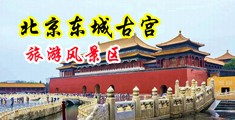 大片大鸡巴插逼中国北京-东城古宫旅游风景区